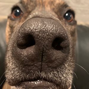 Meet your Posher, Jordyn